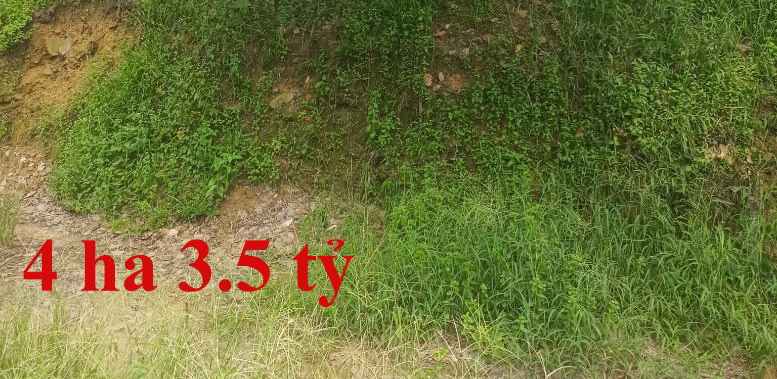 4ha 3.5 tỷ Cát Tiên, Lâm Đồng