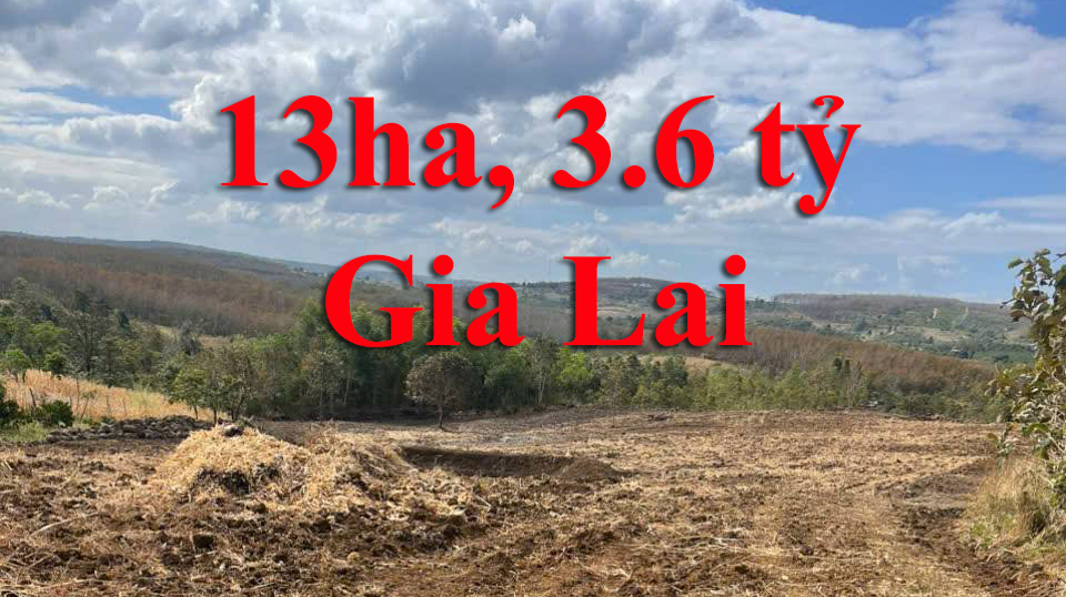 Đất Rẻ Gia Lai cho ai làm Nông Trại, Cà Phê với 3.6 tỷ, 12ha, 6ha trên sổ