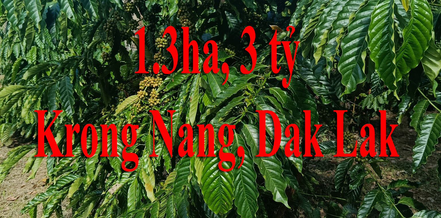 1.3 ha, 3 tỷ, Krong Nang, Dak Lak