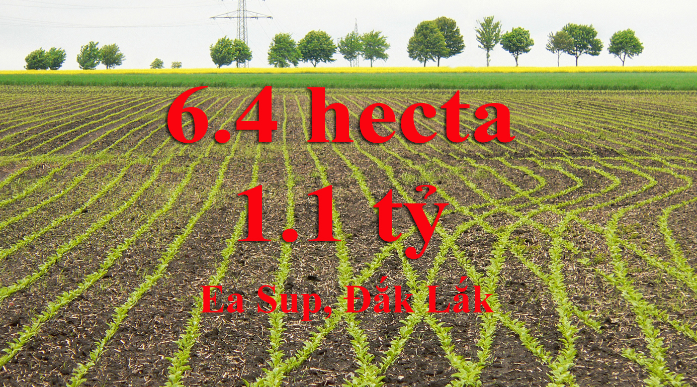 6.4 Hecta 1.1 Tỷ Đất Đen tại Ea sup, Đak Lák