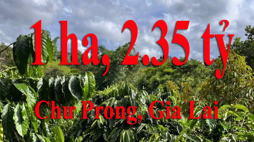 KBăng, Chư Prông, Gia Lai, 2.35 tỷ, 1ha