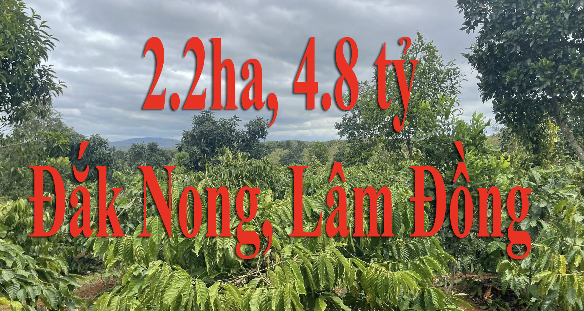 Đak Nong, Lâm Đồng, 2.2ha, 4.8tỷ #VN2