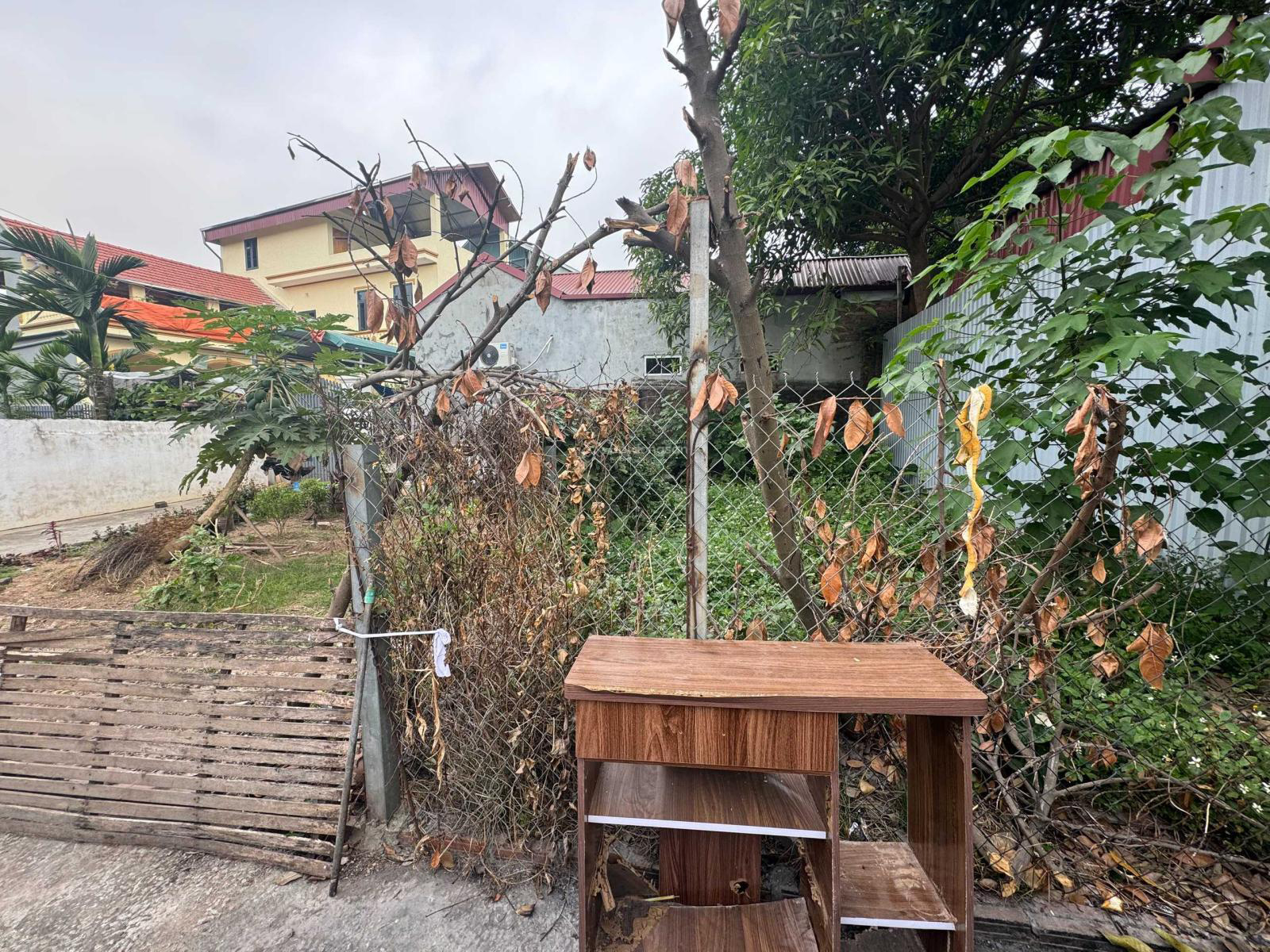 20240103182512-ee98_wm