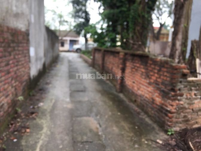 2593609201294d99b1da610c228db7d4