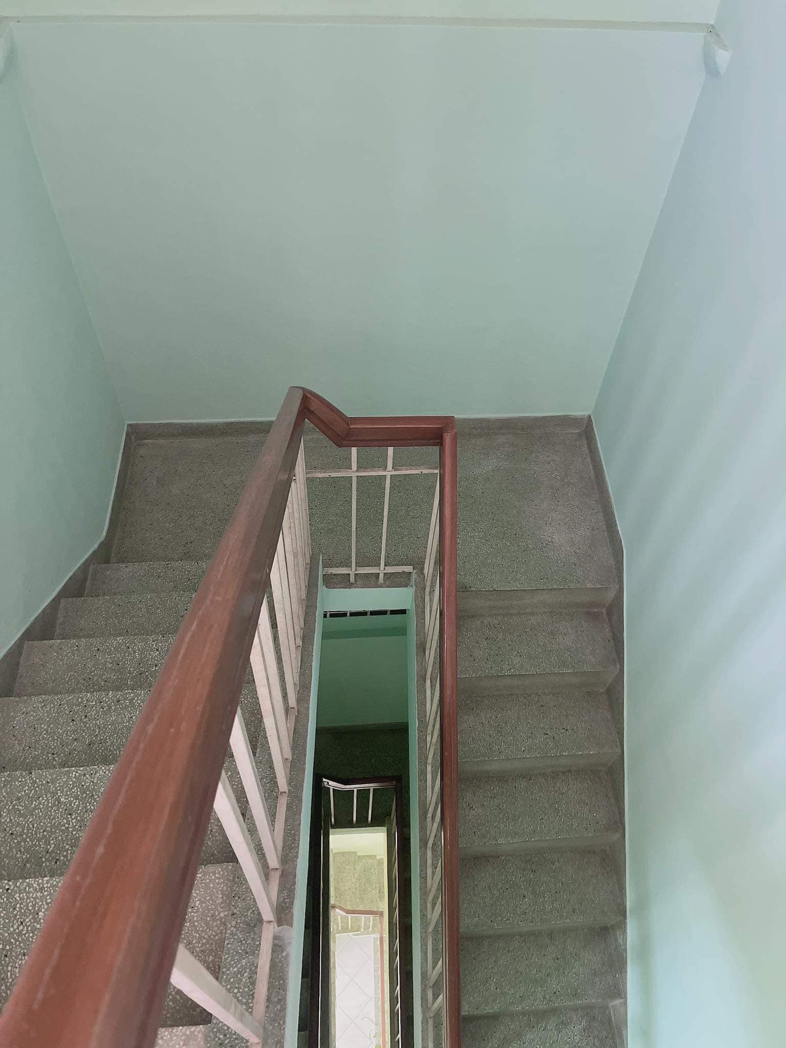 362687046_2510059109159137_8593957948696986904_n