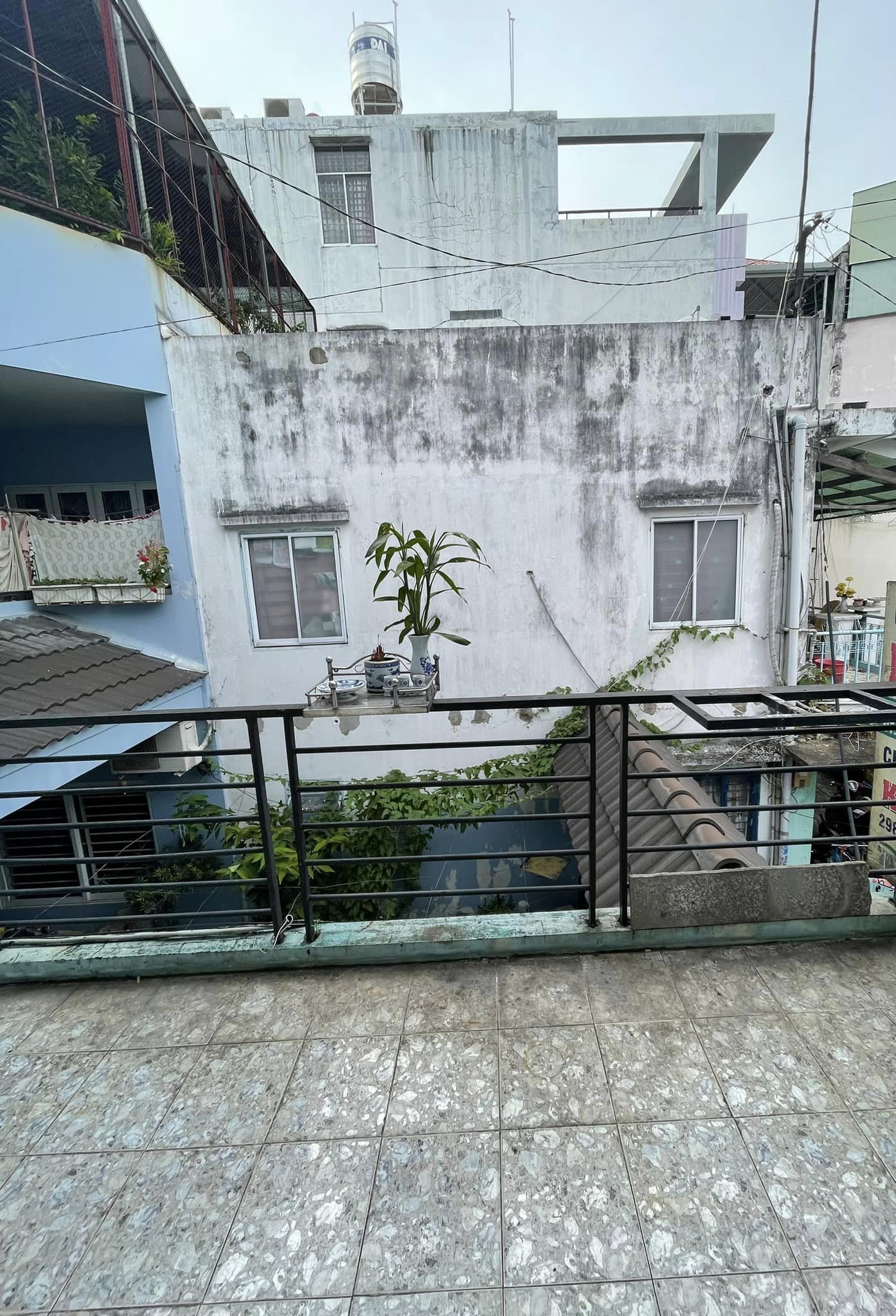 400595536_2026609494389215_6769796205355560754_n