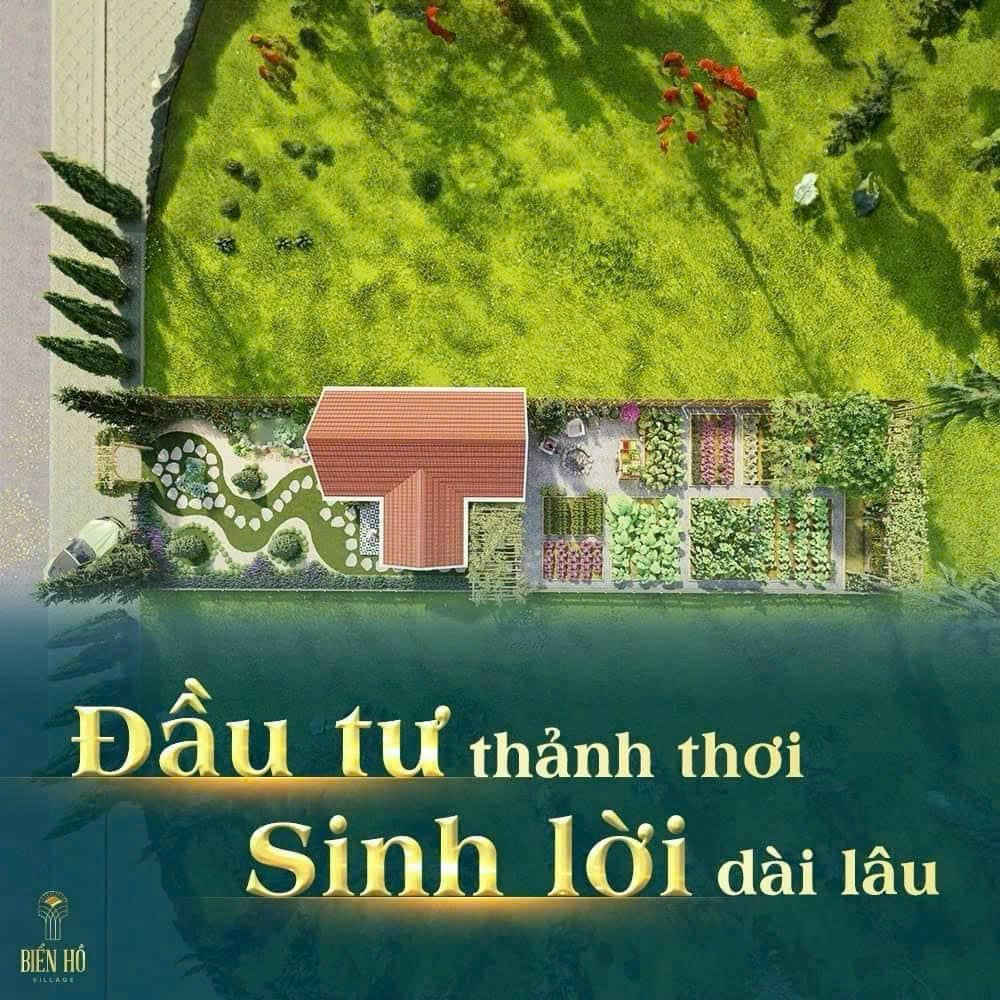 413046960_7007119492717419_109281962378206661_n