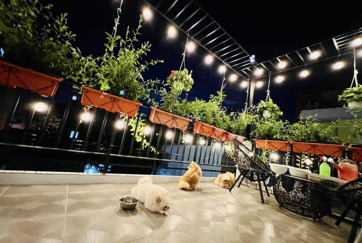 418735344_2582753735214173_273311209893670118_n