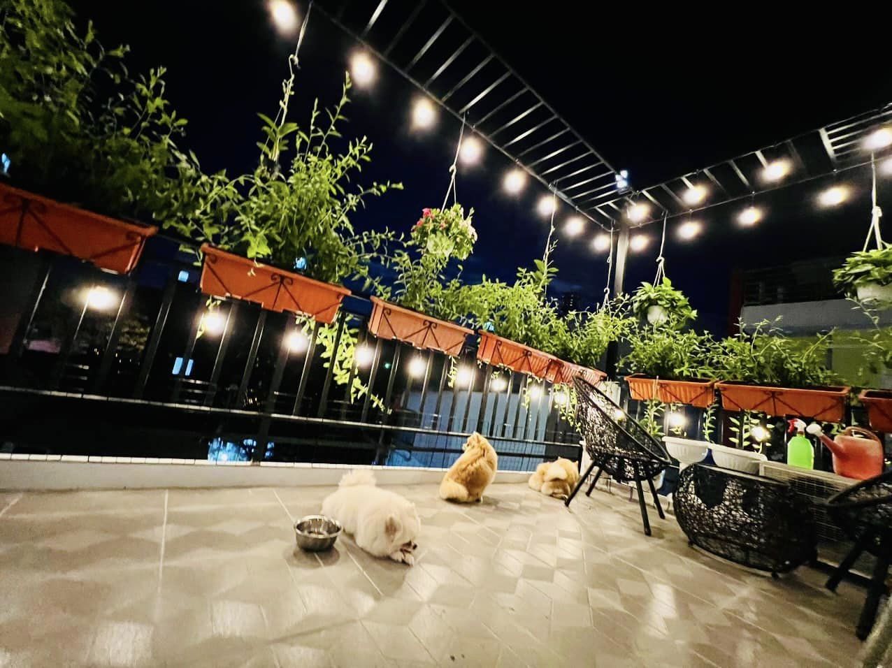 418735344_2582753735214173_273311209893670118_n