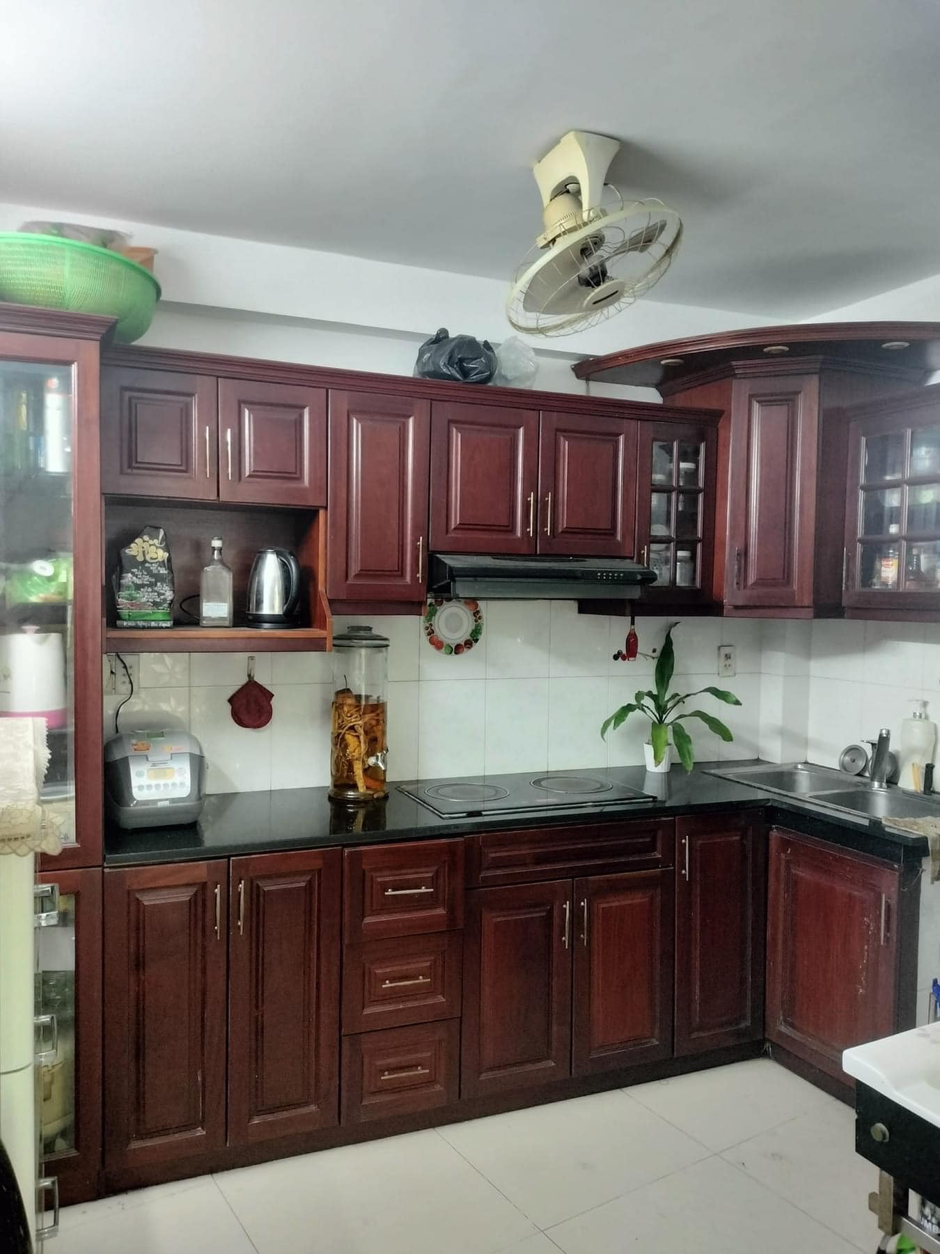 423239979_2455368457982989_6947418713653555138_n