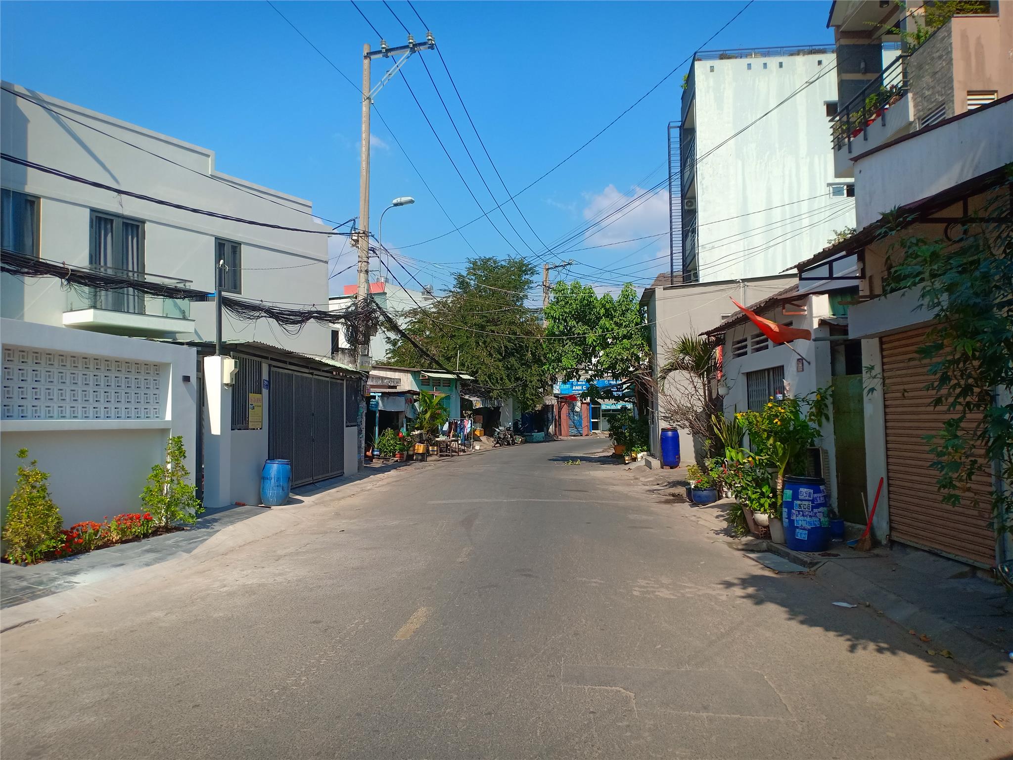 IMG20240129142738