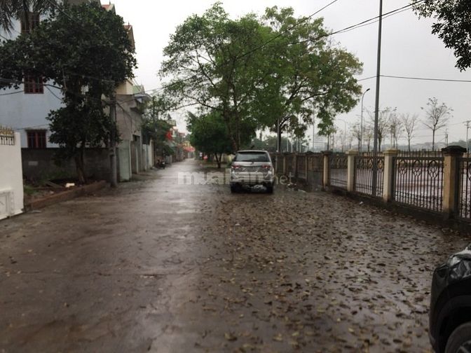 ae1500f7bc874c54b50b691a2eaca20d