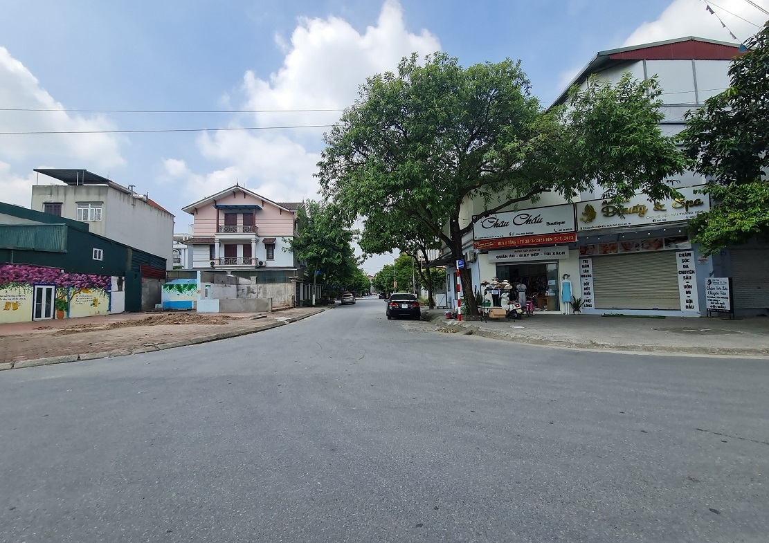 ban dat tai dinh cu trau quy gia lam ha noi (3)
