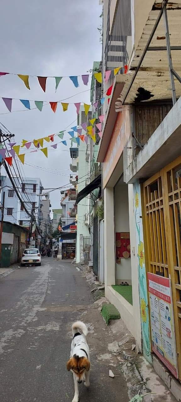 ban nha linh nam hon 4 ty_0963139980_1