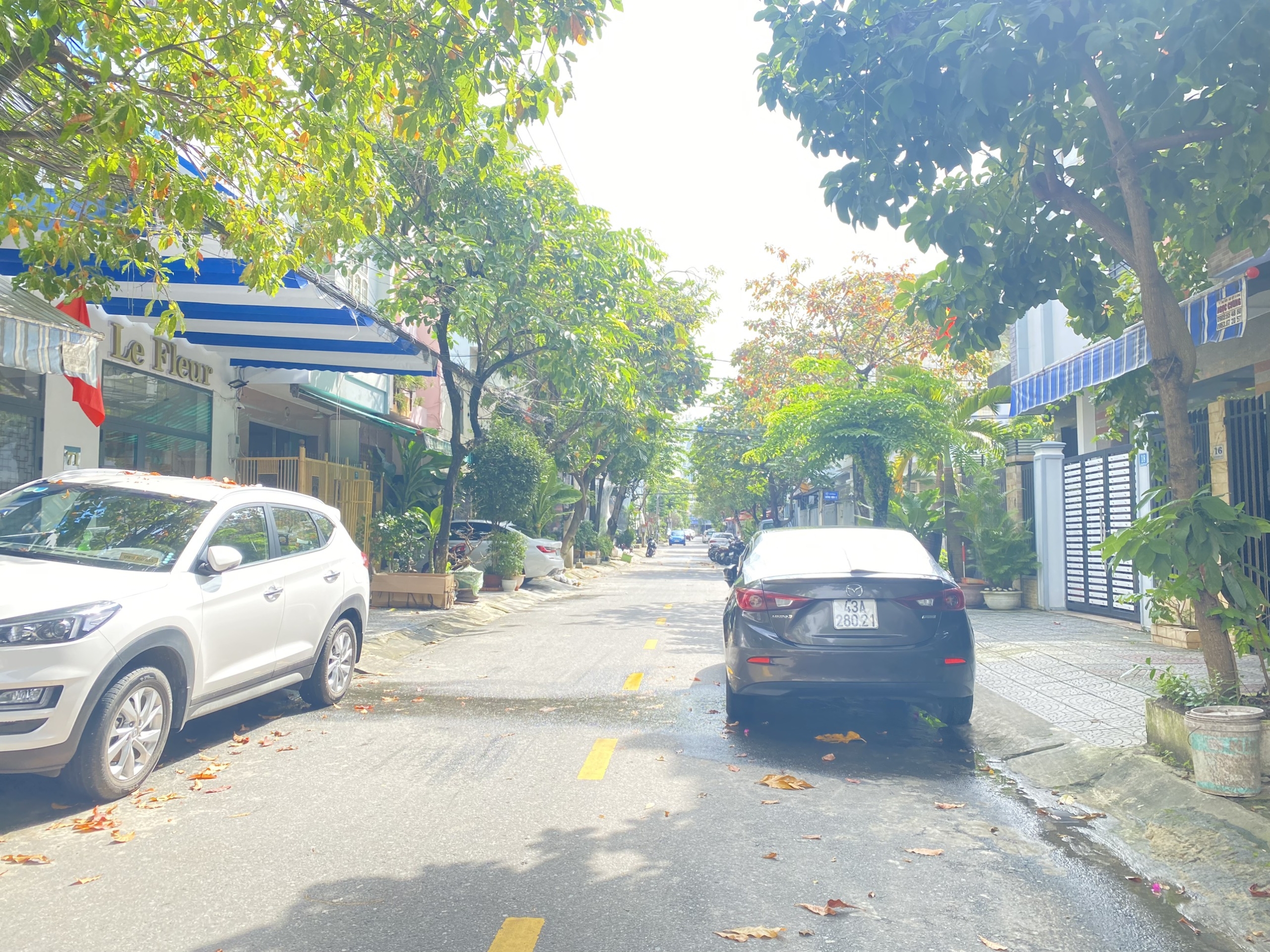 bd83b3d881b72ae973a6