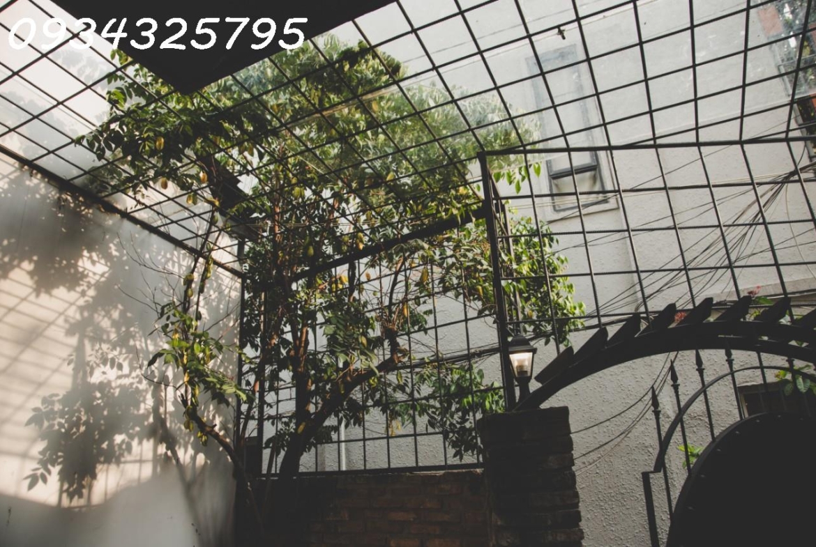 z2510266567816_b72c98c9125e84b8ff3f070f5177e953