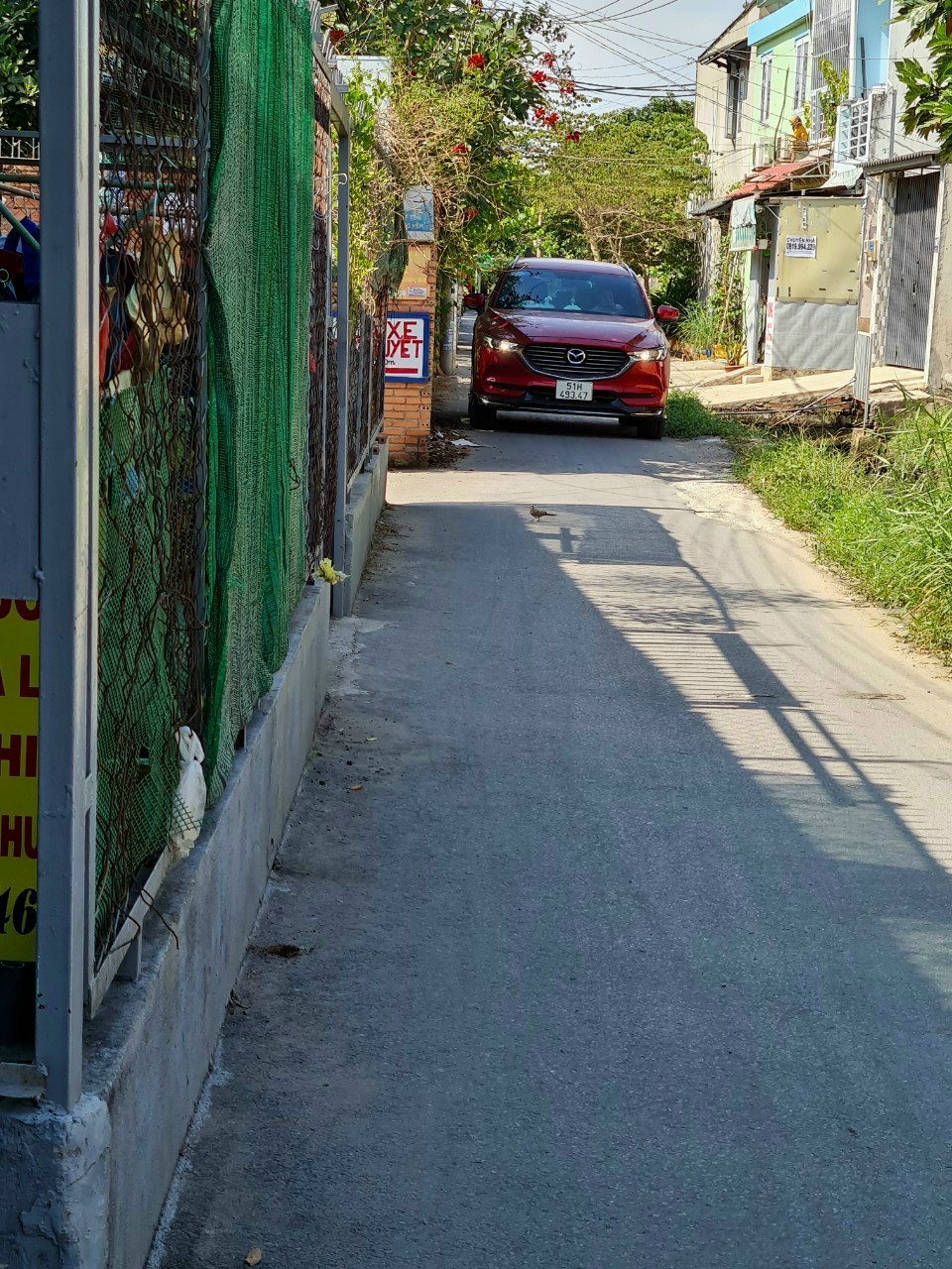 z3324240639819_376c9946a0b4155da0d58684a1d6ea51