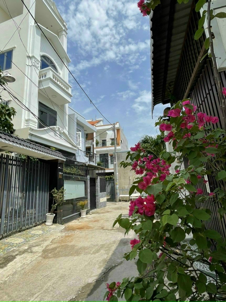 z3558061347140_1773d8254171e181853202ace326aa1c