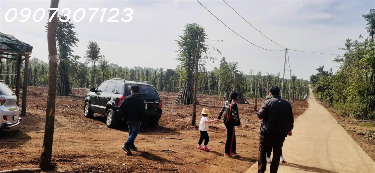 z3982690533063_83cfa325170585e30db6957d9853e79f