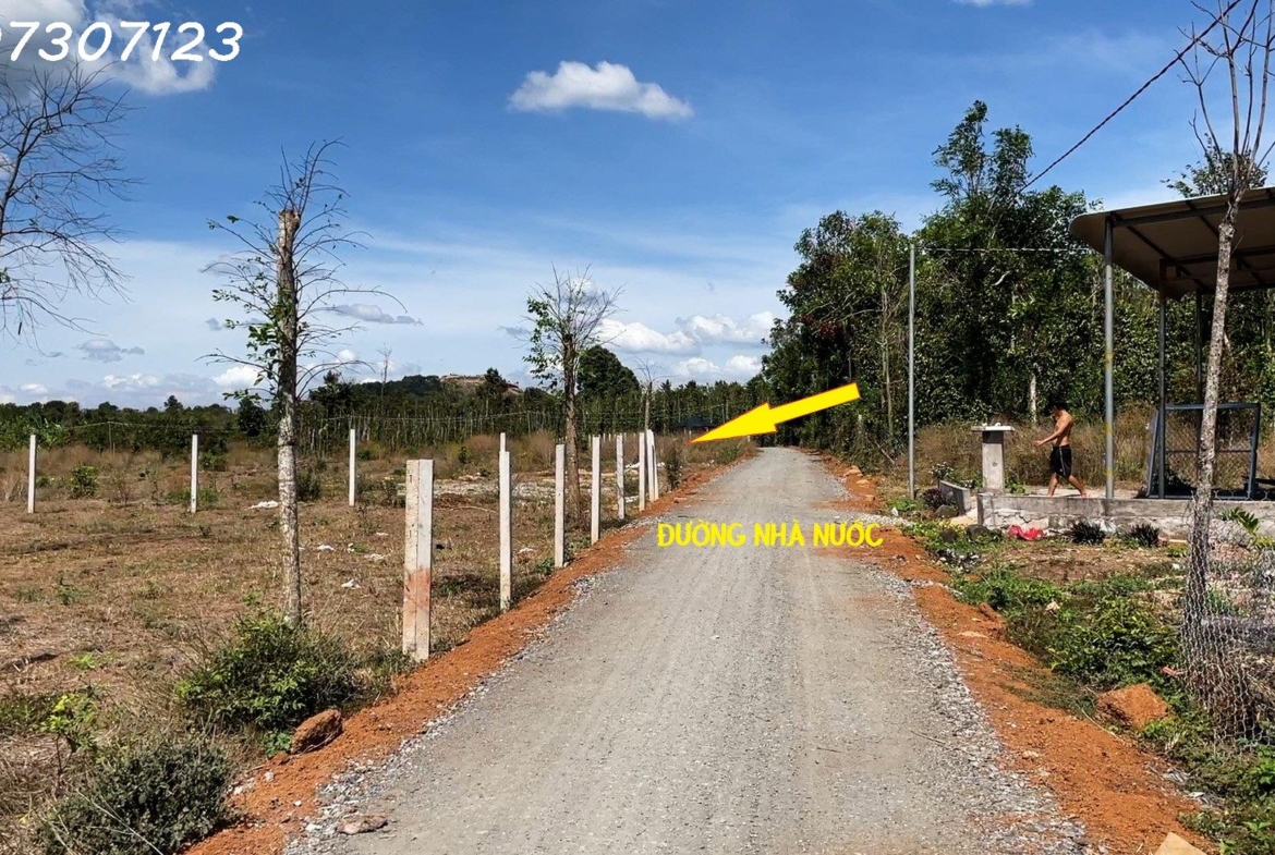 z4090276194660_c0c6834d1304d8d97a08d94e9fe38956