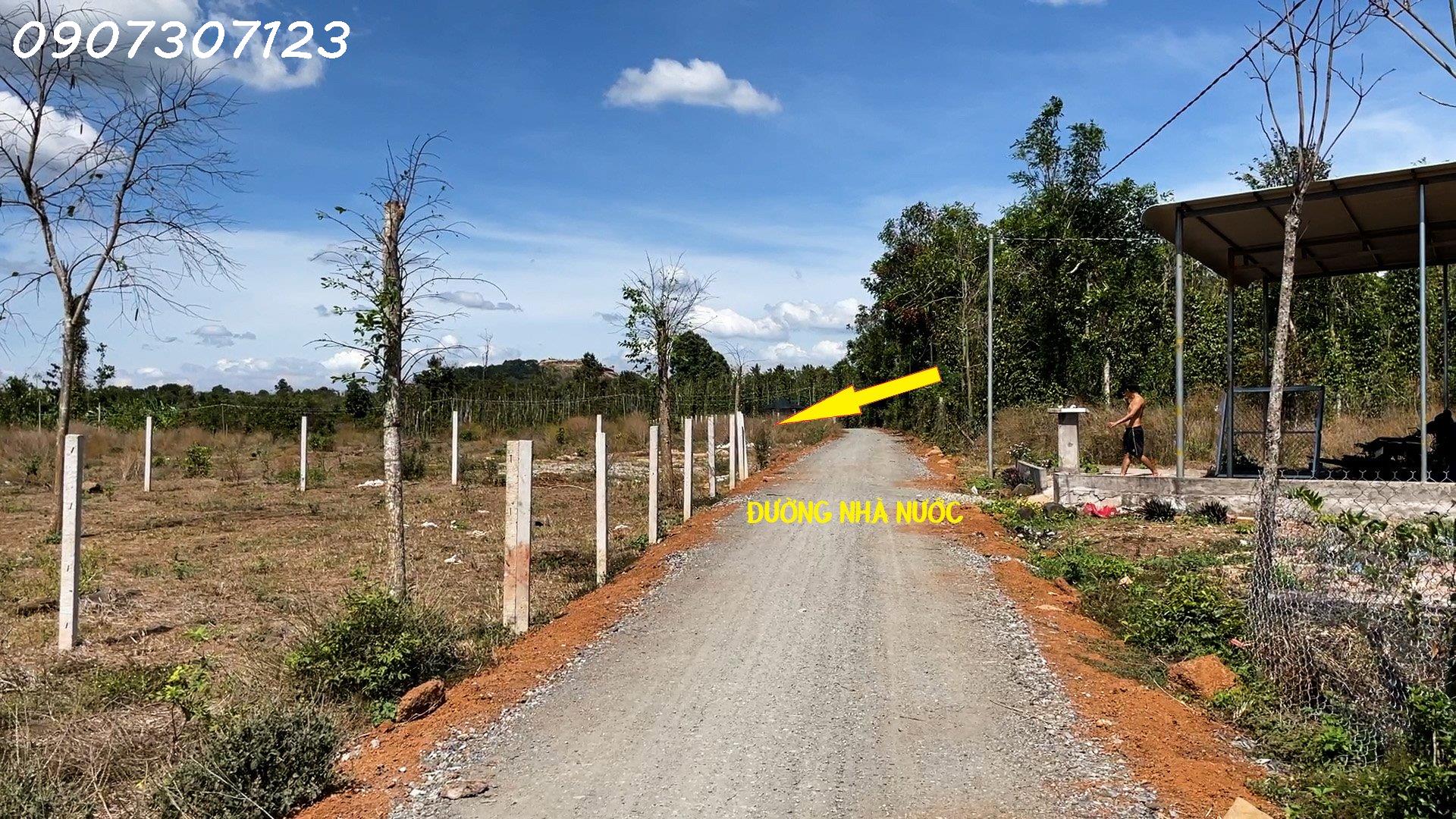 z4090276194660_c0c6834d1304d8d97a08d94e9fe38956