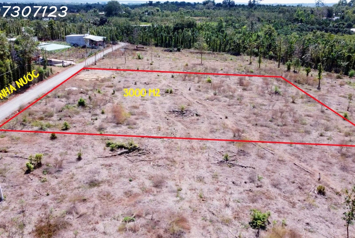 z4090276197913_f391c39ba7bc43ae488a54ac1f96f42b