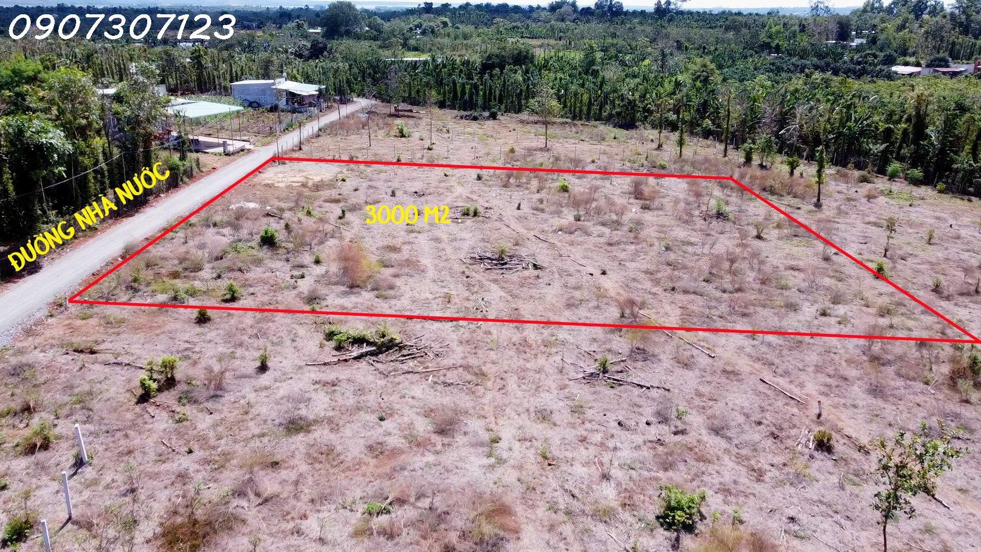 z4090276197913_f391c39ba7bc43ae488a54ac1f96f42b