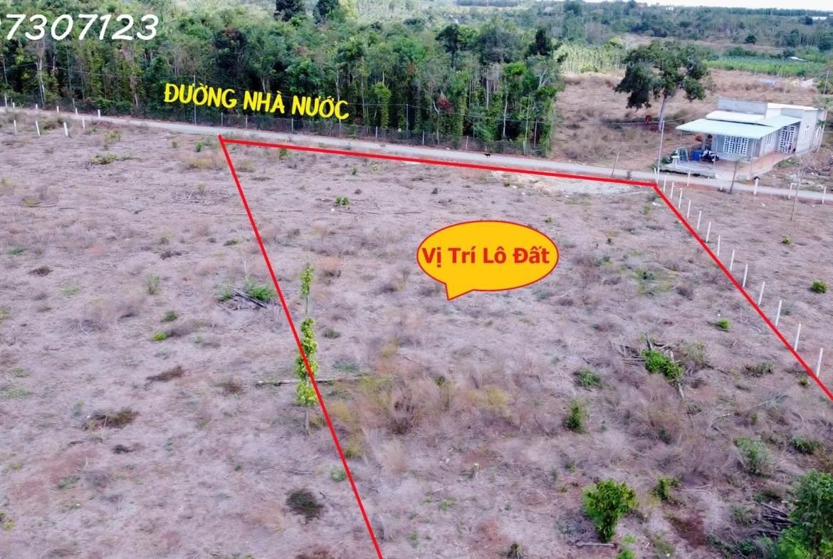 z4090276223074_9a065de6b15c07aa935f760ec8df89f8