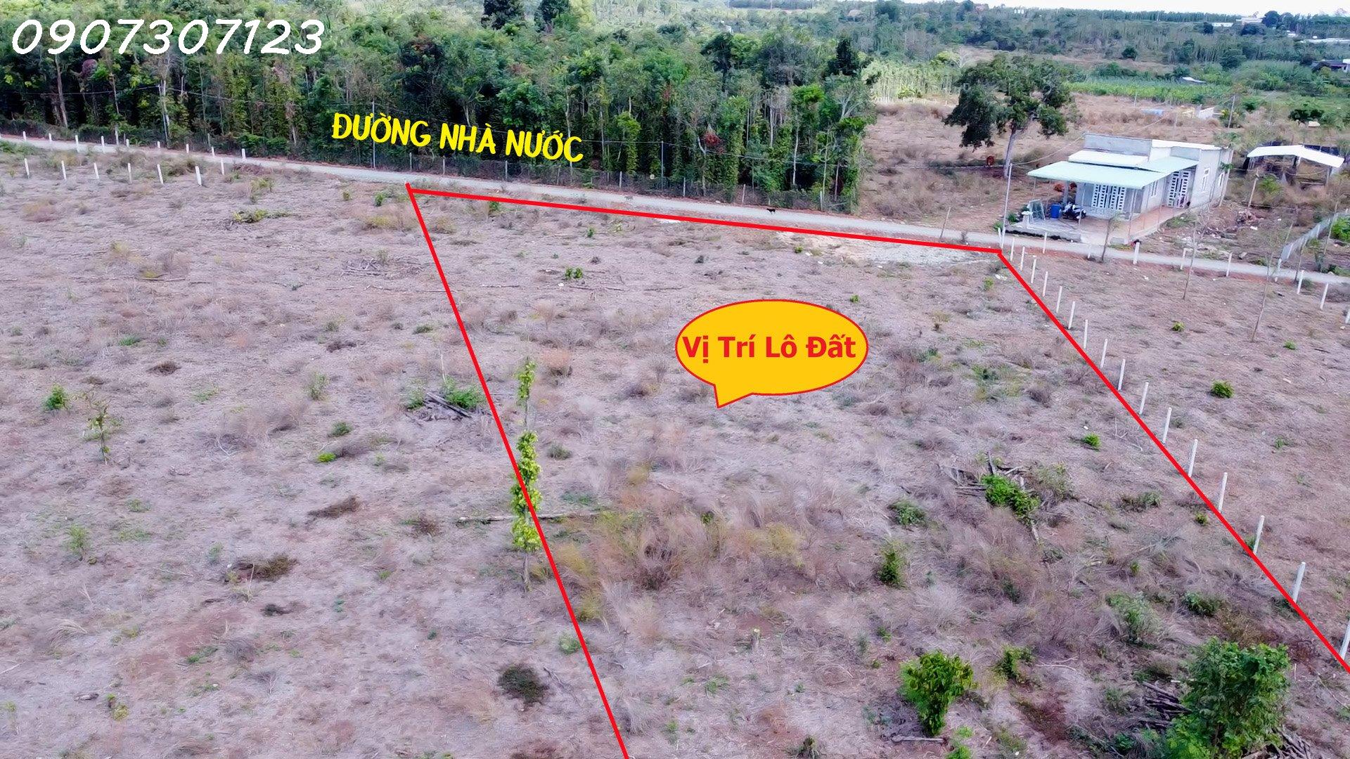 z4090276223074_9a065de6b15c07aa935f760ec8df89f8