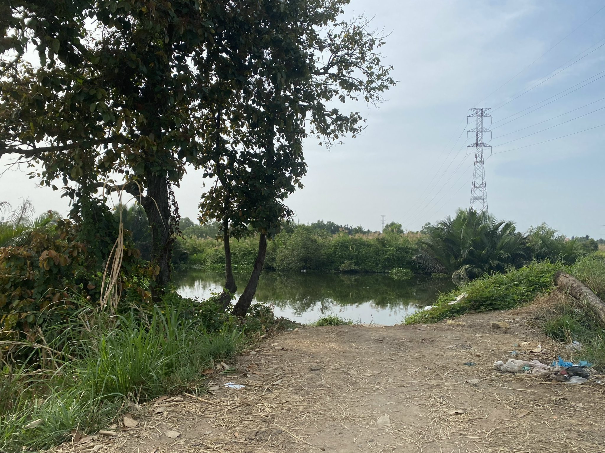 z4310398564960_c23c56fb889b8619e74abe6db982f058