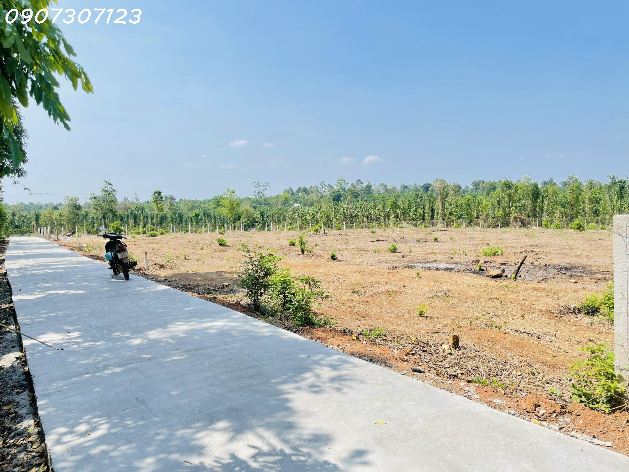 z4733712603574_75d17153e3132c5a8dd198750a056b0e