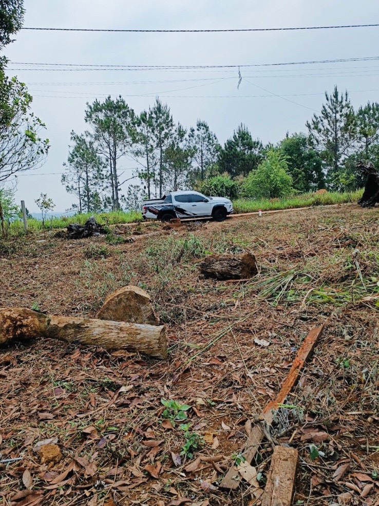 z4932859189133_9ece5018a15599baaa324ef6788c1cc7