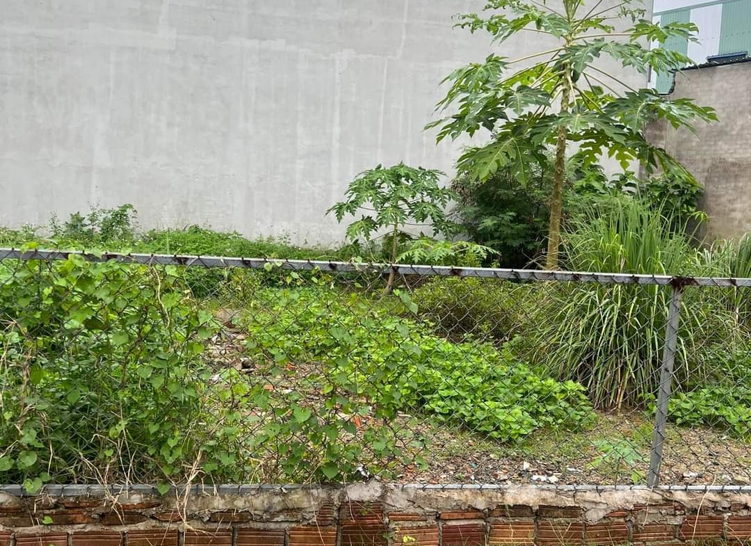 z4951610643699_31c4c5e2b2c63c5d49979bfed6cbc072