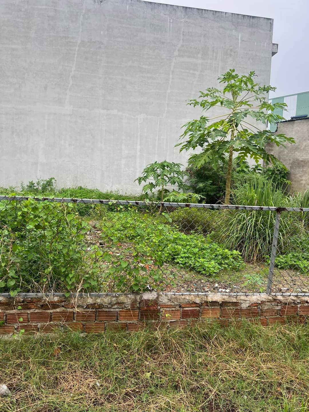 z4951610643699_31c4c5e2b2c63c5d49979bfed6cbc072