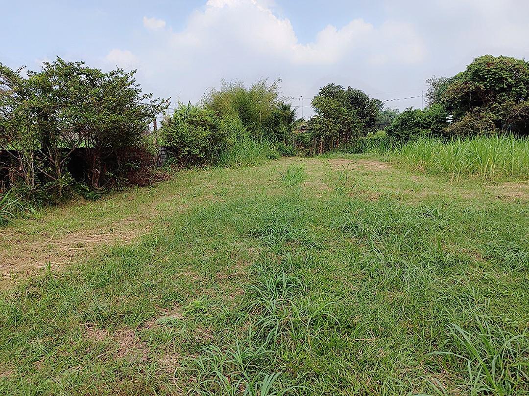 z4965726551920_85a039606fb465c814278055fd5f33ef