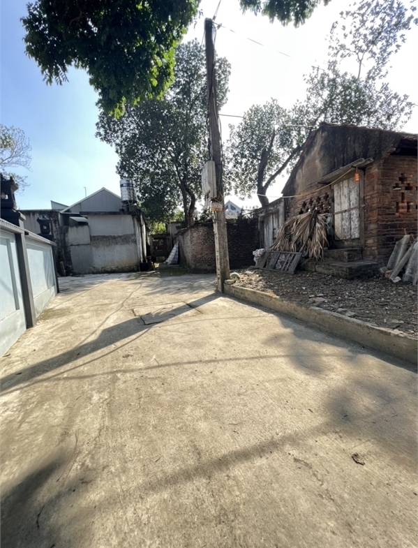 z4973134865024_ca549bff89c27a210674af2866bbd0d3