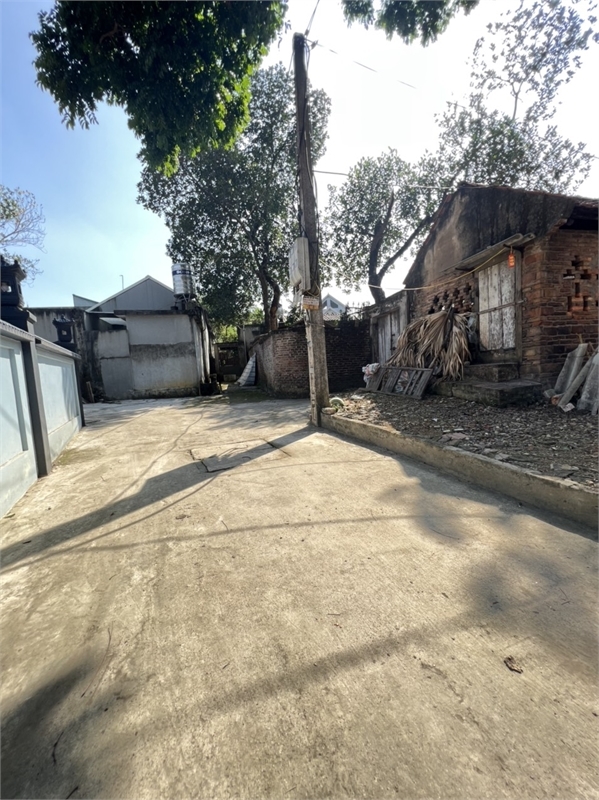 z4973134865024_ca549bff89c27a210674af2866bbd0d3