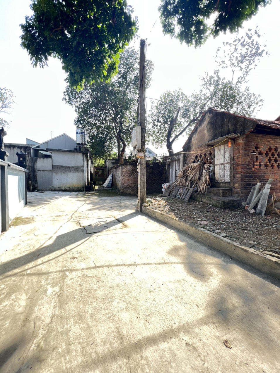 z4973134907432_709a35a38e1362feef5ecdee2a55c88b