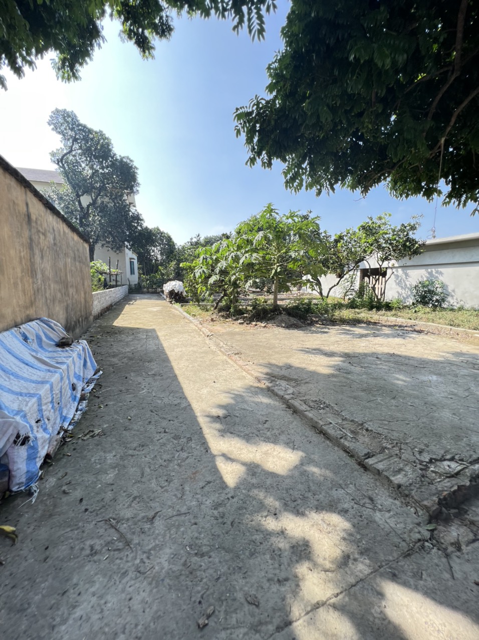 z4973134923141_2eff3f0354338670910c871bf5e56d95