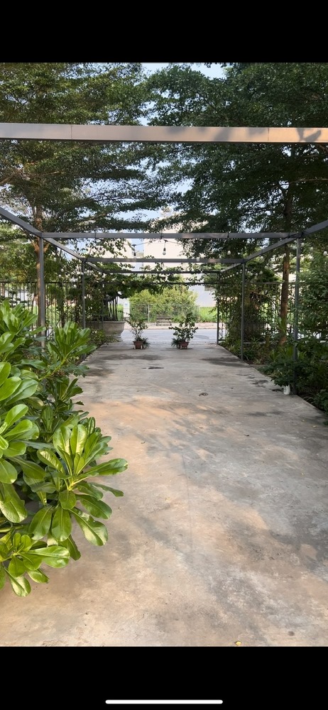 z4987027221729_1ce0d595638257b71571237de96c3b38 (Copy)