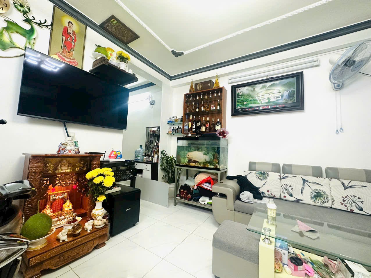 z4988337035526_c36158c5be79ecc6b3cca8a1cd0ba664