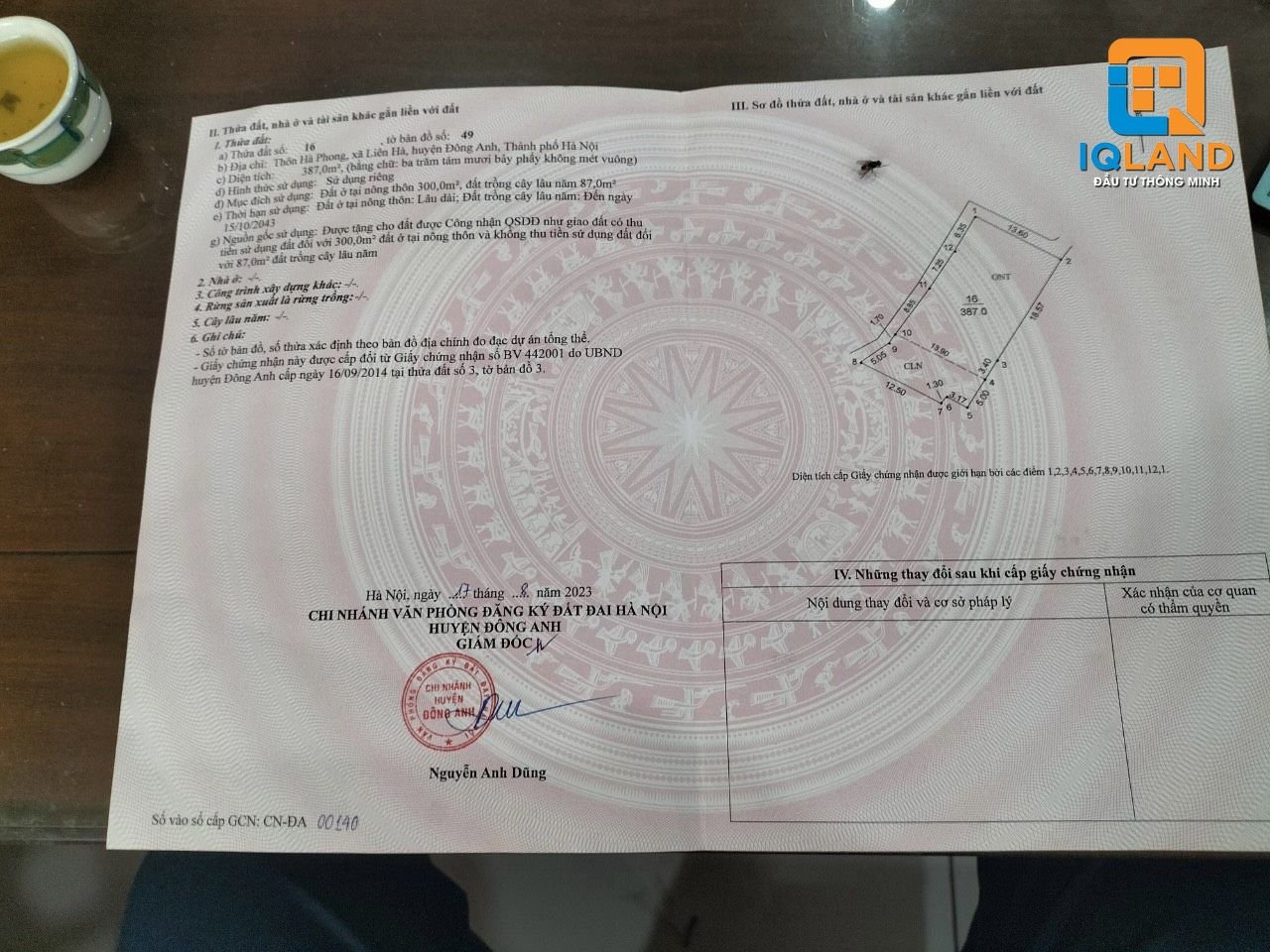 z4995271268301_c26264b003a004e9ac4f295d918852cb