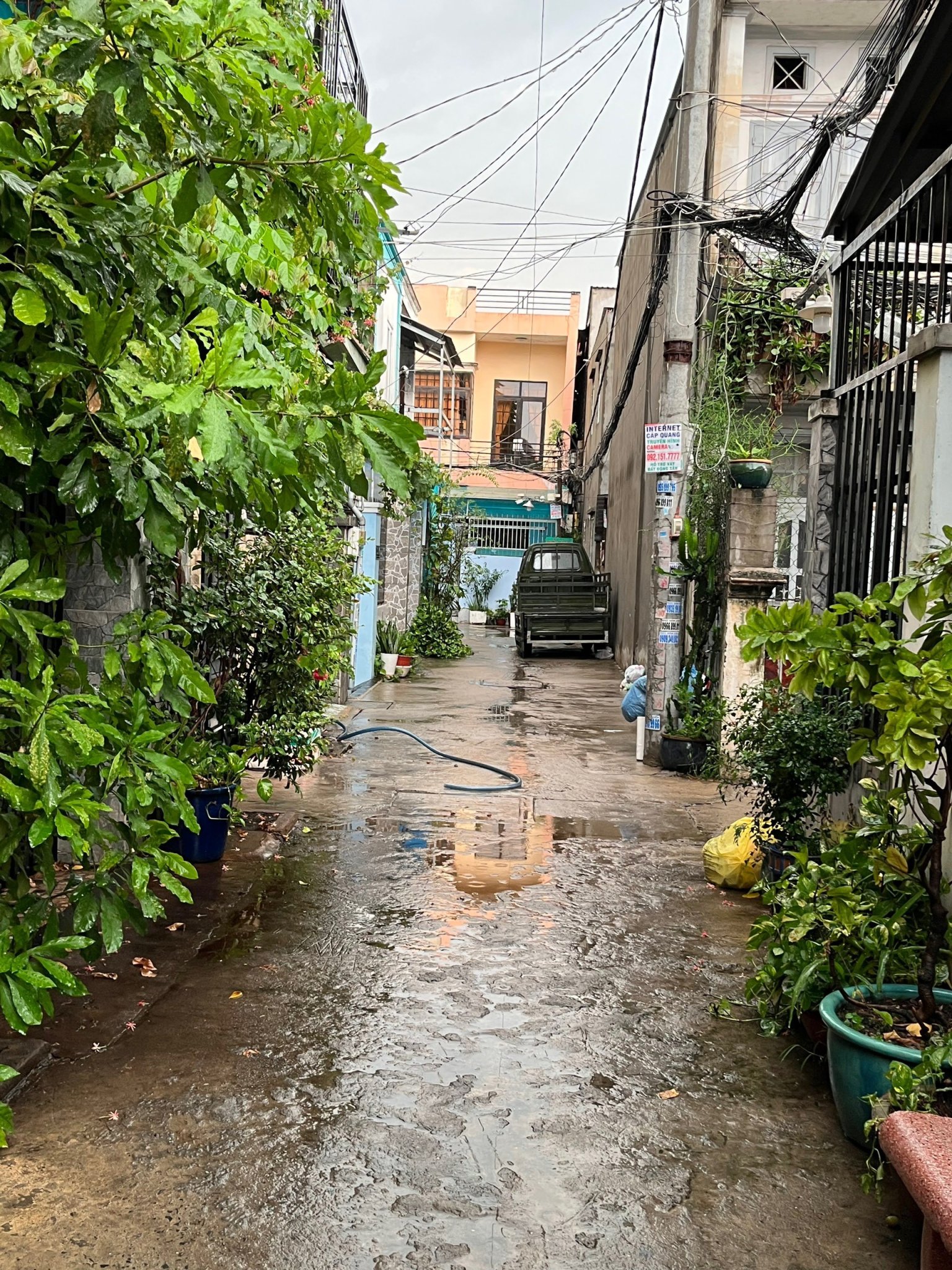 z4999176939923_d68536dab89b308985327dadf6ee28fd