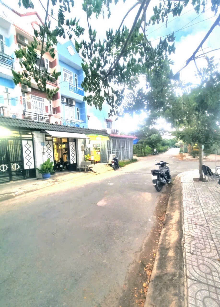 z5011851289224_300a57f844b6ee998a2a105982bc9115