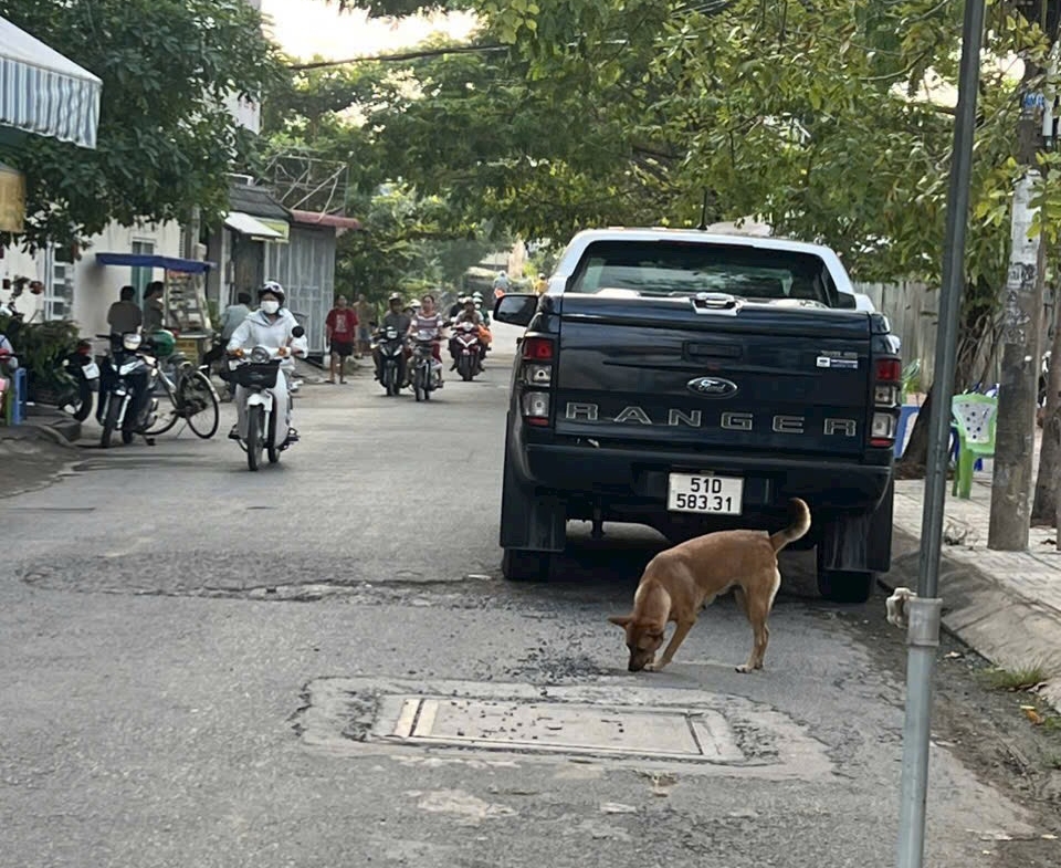 z5011851314279_1d0b0a971fcd0e953aaf0749c074841d