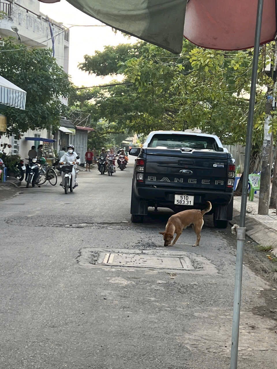 z5011851314279_1d0b0a971fcd0e953aaf0749c074841d