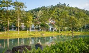 z5023182083721_ff061845a3d688060482e0a20689f9f0