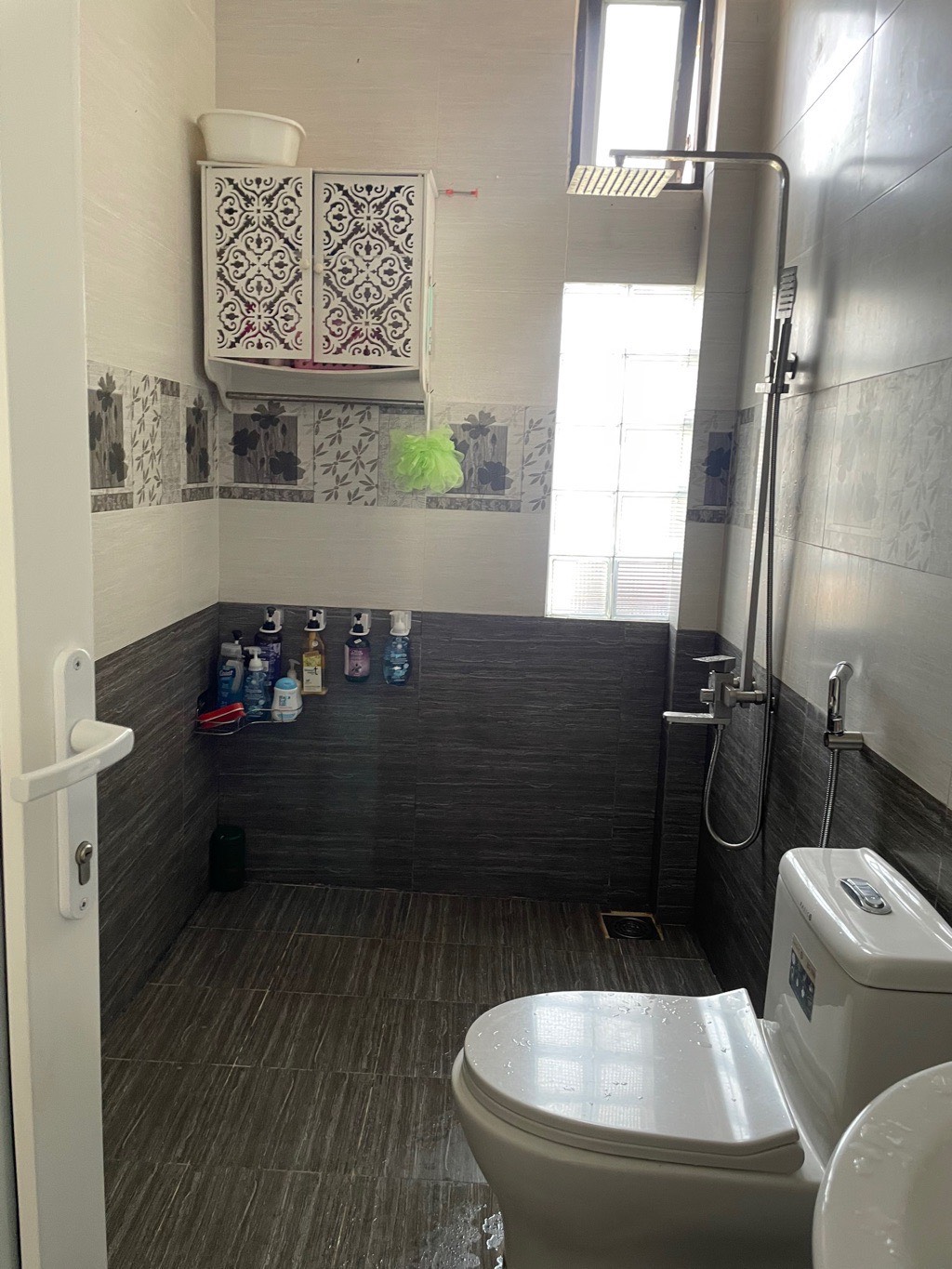 z5026172242987_ff518d9abade221a27b58b0b83a2c16c