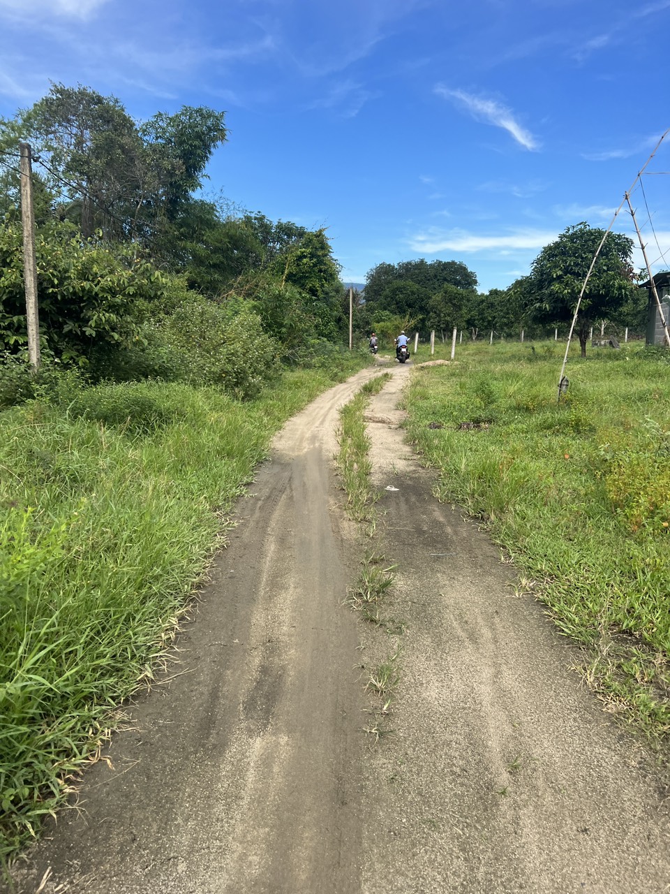 z5030010246342_6ddb2987d308fb34dc2fa545dd7879c8