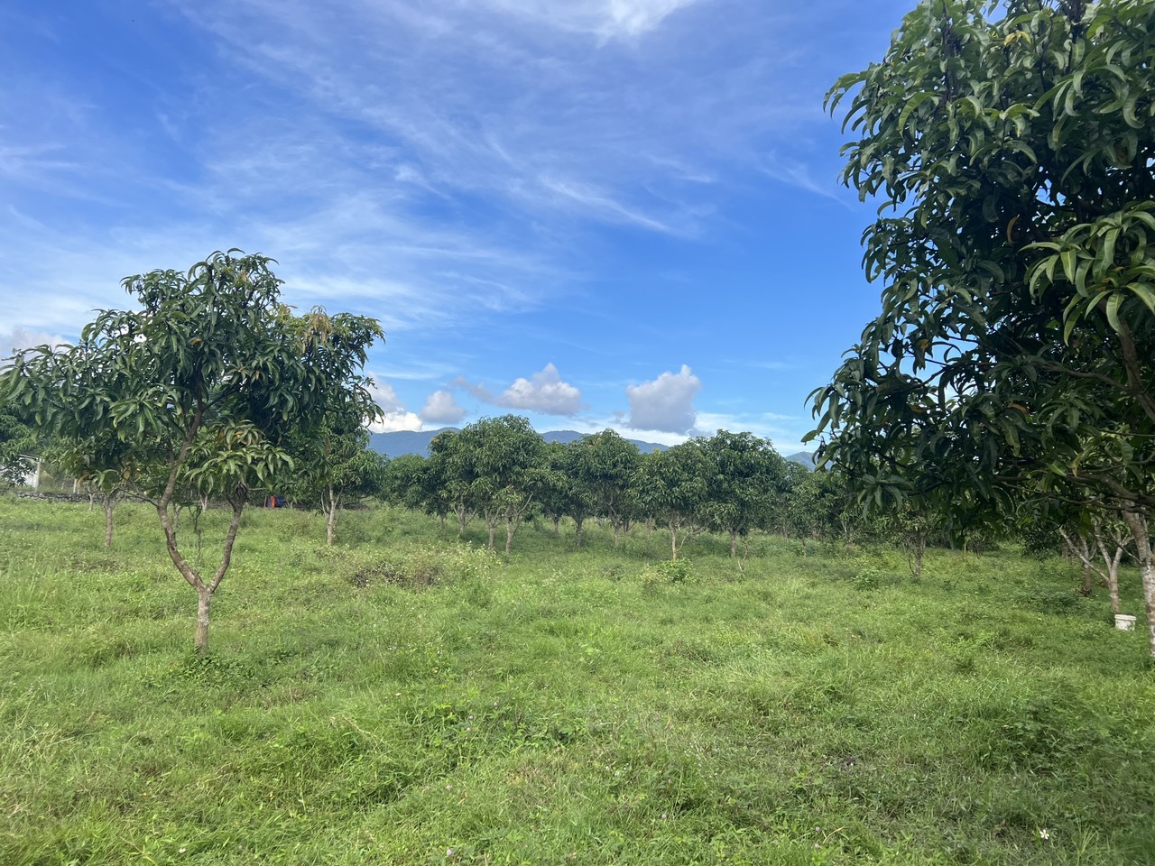 z5030010269072_e5384678a1581acd31bf0aa1eb8493ca